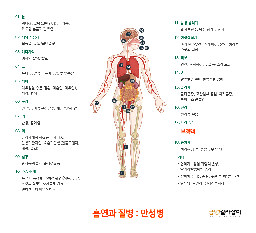 흡연과 질병/만성병 - 부정맥